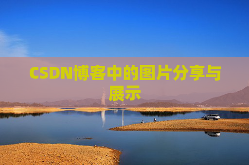 CSDN博客中的图片分享与展示